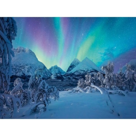 Ravensburger - Puzzle spectacol arctic 1500 piese Ravensburger - 1